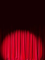 Sahne Perdesi - Görsel 4